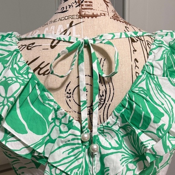 Lilly Pulitzer Ritamarie Ruffle Dress NWT - Picture 3 of 10